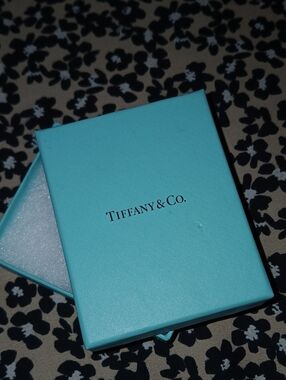 Brand NEW Tiffany & Co. Jewelry Box